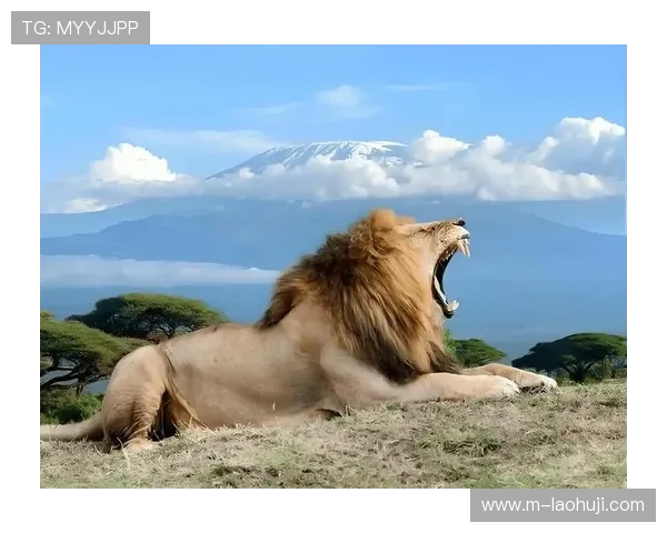 发财雄狮：选择合适的雄狮饰品提升个人财运的实用指南