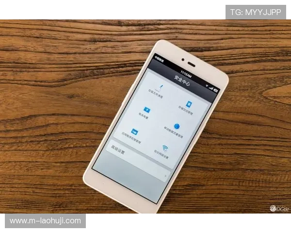 PA游戏官网网页界面设计与用户体验优化，让你操作更加便捷顺畅